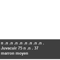 ��������� Juvacuir 75 �� 37 marron moyen