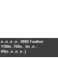���� 8880 Feather 1100�700� 6�� 09(����)