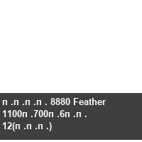 ���� 8880 Feather 1100�700�6�� 12(���)