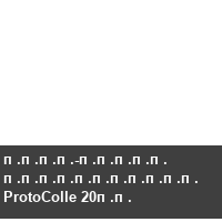 ����-����� ����������� ProtoColle 20��