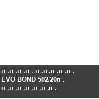 ����-����� EVO BOND 502/20� �������