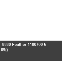  8880 Feather 1100700 6 09()