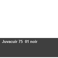  Juvacuir 75  01 noir