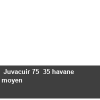  Juvacuir 75  35 havane moyen