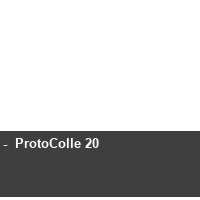 -  ProtoColle 20